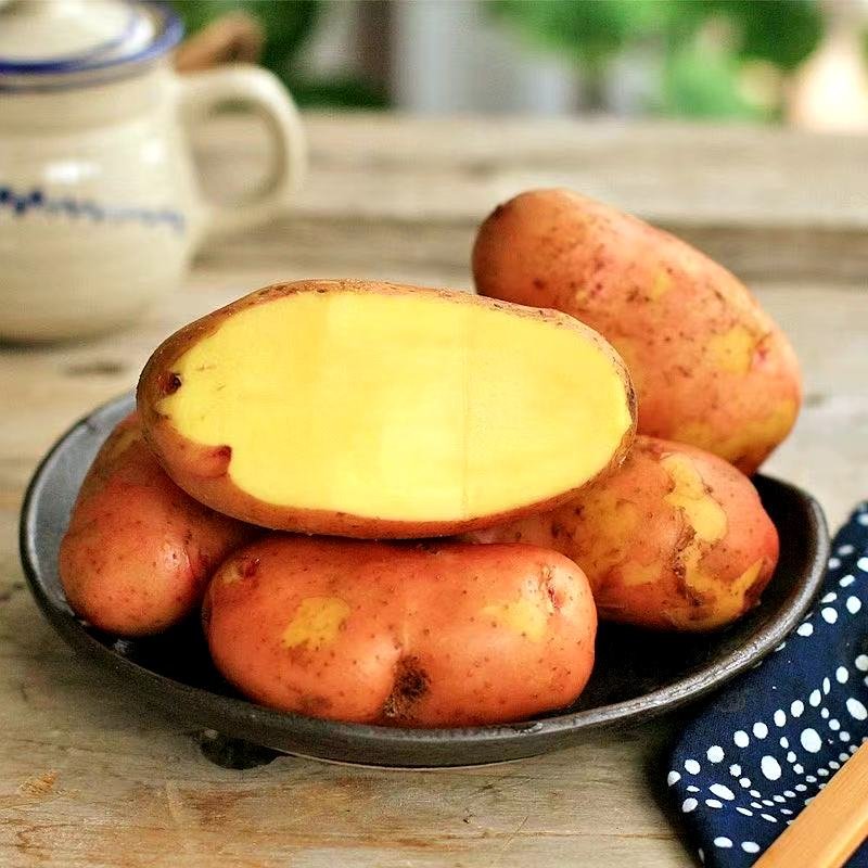 爱心粮食发放活动 25/01/2026